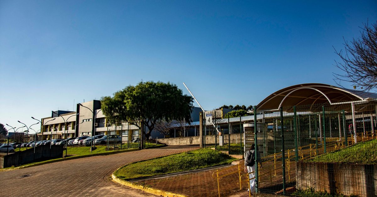 Apucarana lança programação com mais de 60 eventos culturais para junho e julho