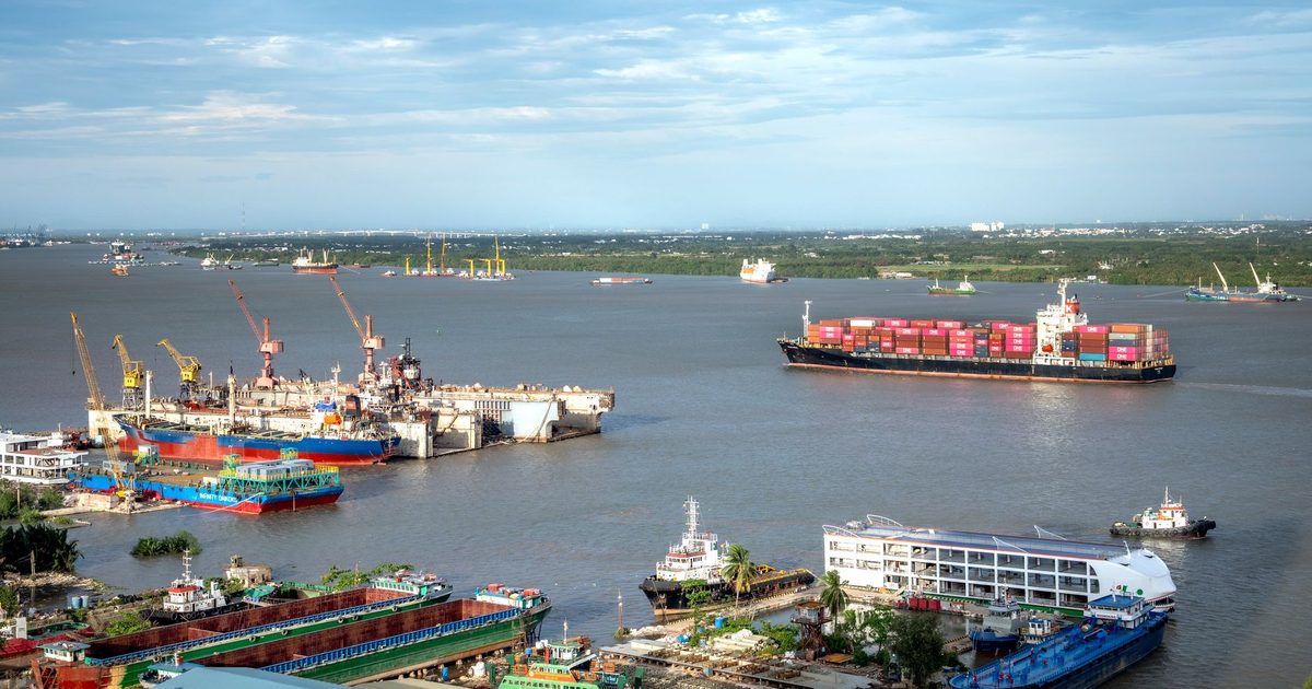 Porto de Paranaguá embarca recorde de frango e concentra 47% das exportações nacionais